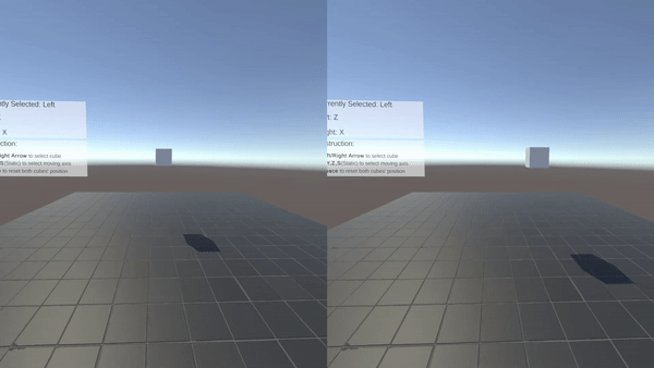 Dynamic rivalry demonstration